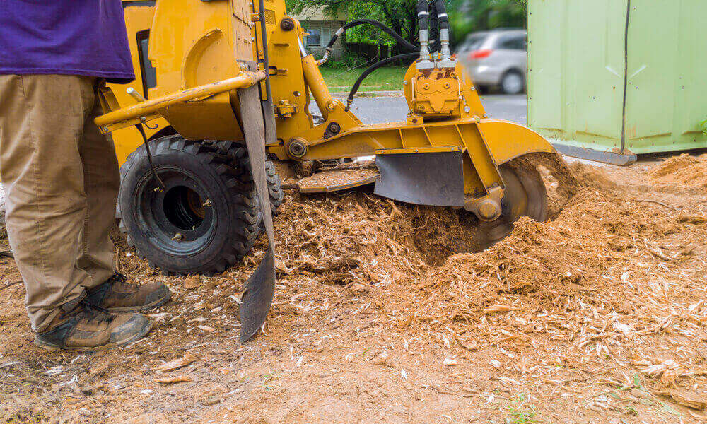 Stump Grinding Process